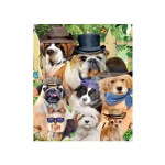 3D LIVELIFE MAGNETS - DANDY DOGS