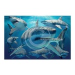 3D LIVELIFE MAGNETS - GREAT WHITE SHARK