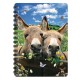 3D LIVELIFE JOTTERS - DONKEY