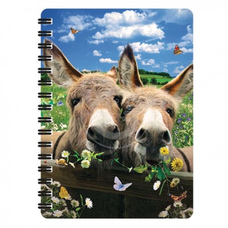 3D LIVELIFE JOTTERS - DONKEY