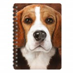 3D LIVELIFE JOTTERS - BEAGLE